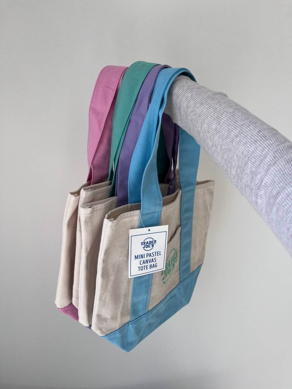 Trader Joe's Mini Pastel Canvas Tote Bag